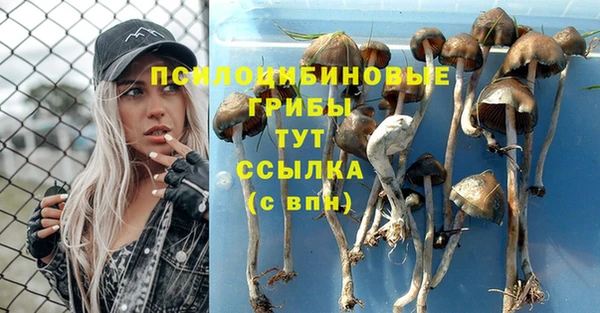 гидропоника Абинск